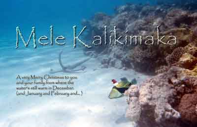 2005 Christmas Card: Humuhumunukunukuapua'a